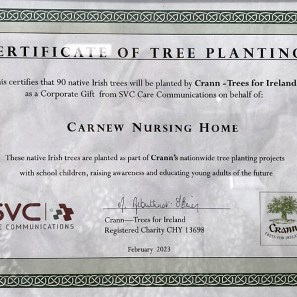 Tree Planting