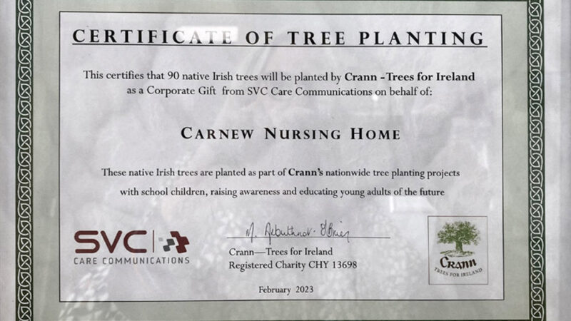 Tree Planting