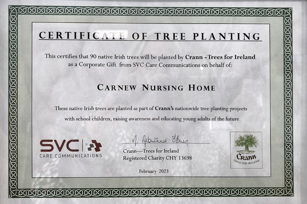 Certificate of tree planting